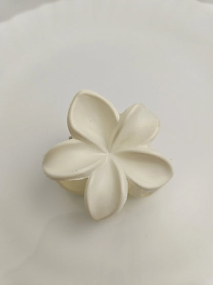 Floral Matte Hair Claw Clip(Pair of 6)